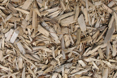 biomass boilers Hayscastle